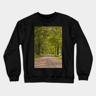 Wye Island Canopy Road Crewneck Sweatshirt